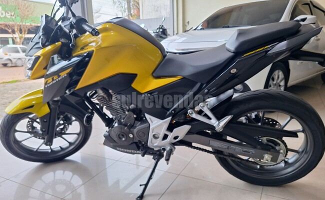 Honda CB 300F Twister Flex