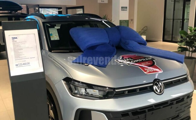 VOLKSWAGEN TERA