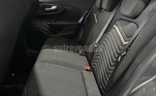 Fiat PULSE AUDACE 1.0