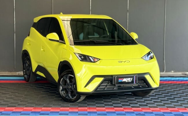 BYD Dolphin Mini (Elétrico)