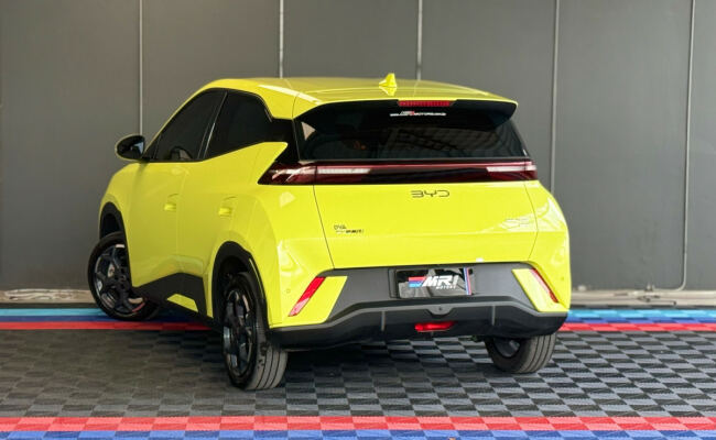 BYD Dolphin Mini (Elétrico)