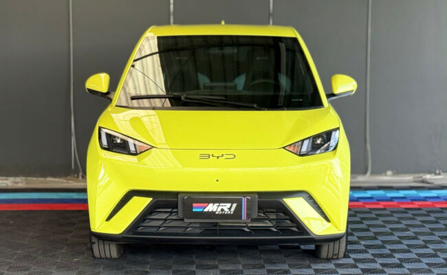 BYD Dolphin Mini (Elétrico)