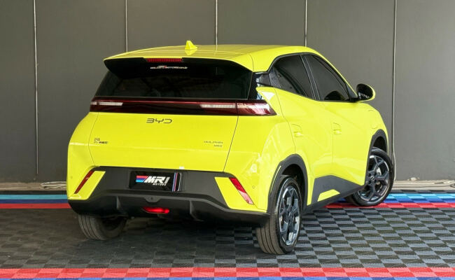 BYD Dolphin Mini (Elétrico)