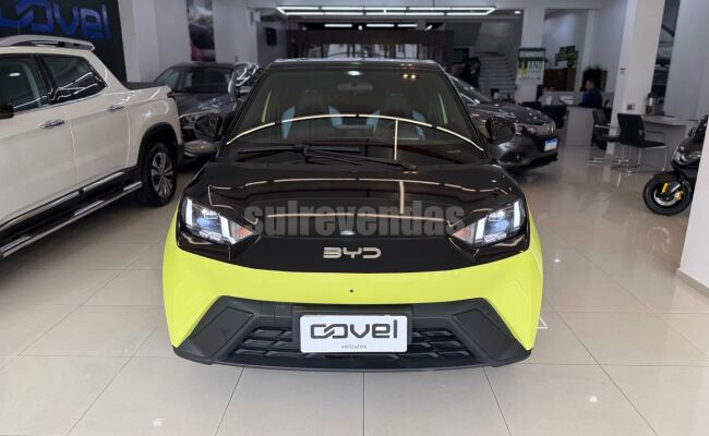BYD dolphin mini gs 38kw