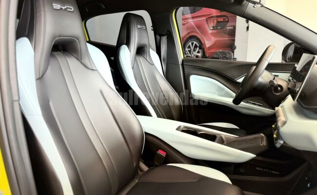 BYD dolphin mini gs 38kw