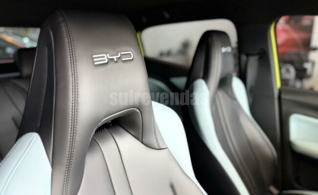 BYD dolphin mini gs 38kw