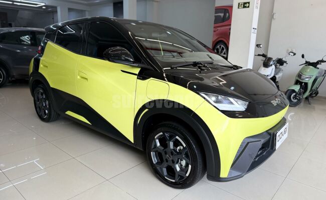 BYD dolphin mini gs 38kw