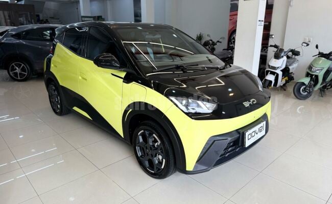 BYD dolphin mini gs 38kw