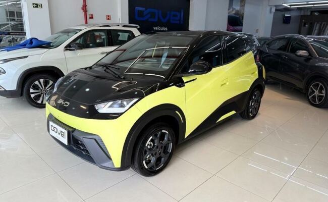 BYD dolphin mini gs 38kw
