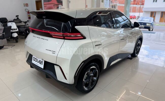 BYD dolphin mini gs 38kw