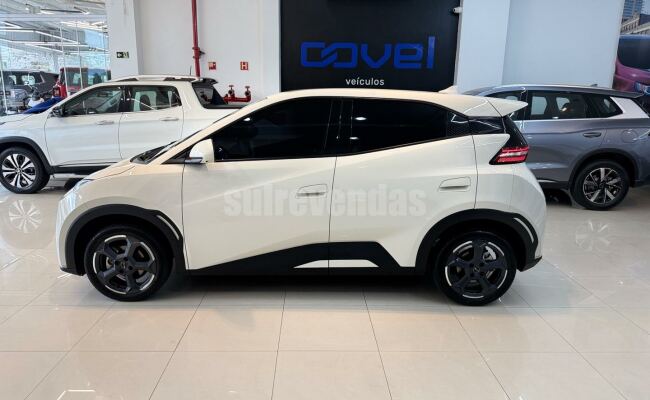 BYD dolphin mini gs 38kw