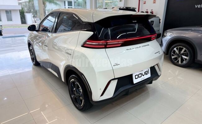 BYD dolphin mini gs 38kw
