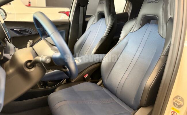 BYD dolphin mini gs 38kw