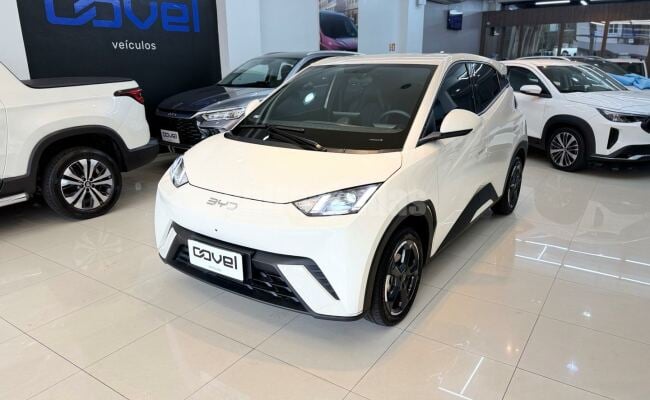 BYD dolphin mini gs 38kw
