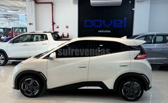 BYD dolphin mini gs 38kw