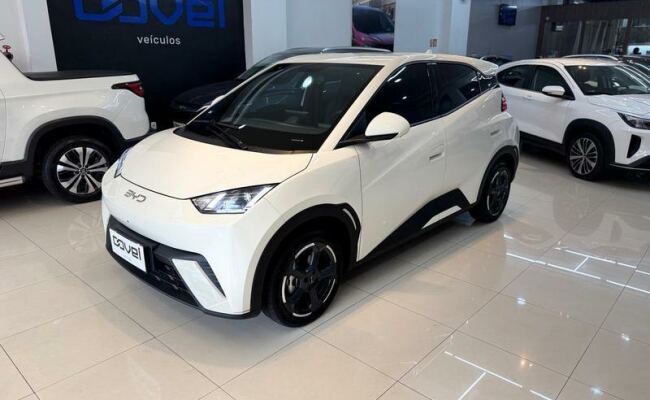 BYD dolphin mini gs 38kw