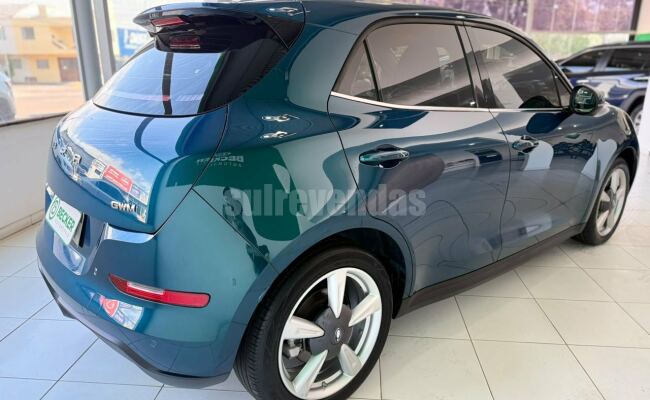 GWM - Great Wall Motors Ora 03