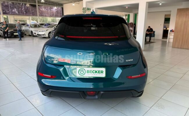 GWM - Great Wall Motors Ora 03