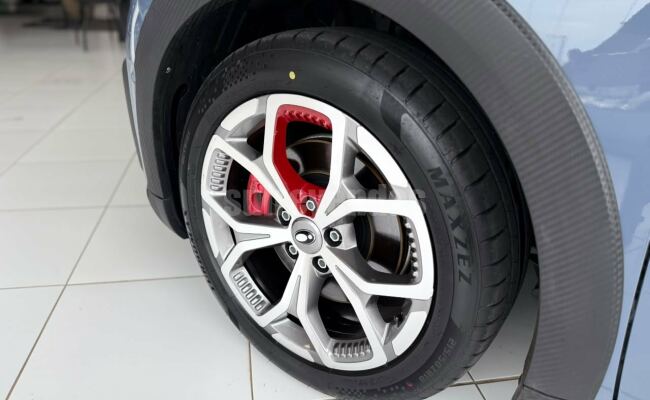 GWM - Great Wall Motors Ora 03