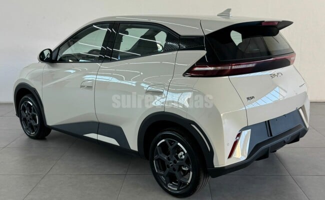 BYD Dolphin Mini GS (Elétrico)