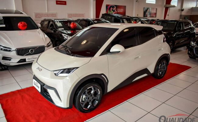 BYD Dolphin Mini