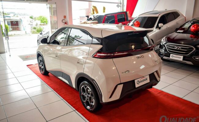 BYD Dolphin Mini