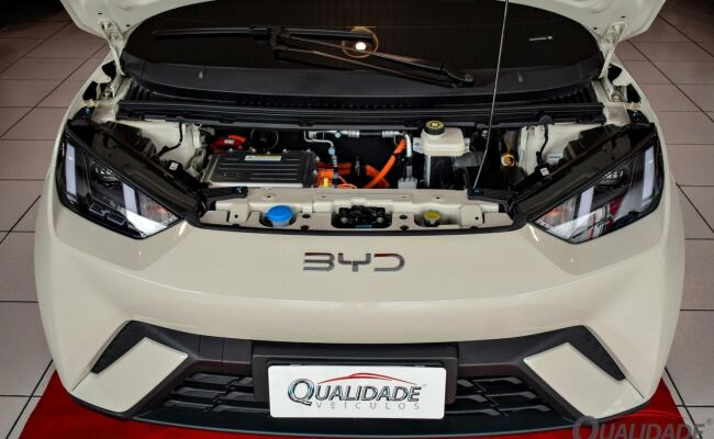 BYD Dolphin Mini