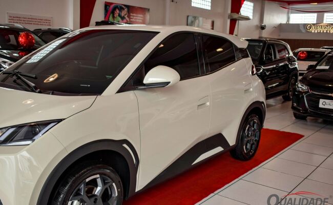 BYD Dolphin Mini