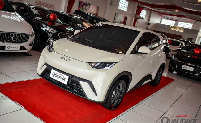 BYD Dolphin Mini
