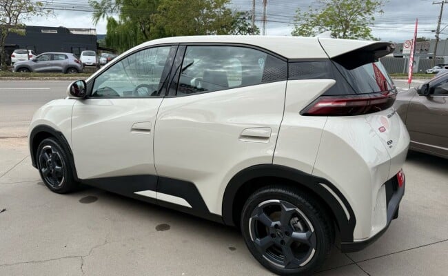 BYD DOLPHIN