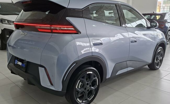 BYD Dolphin Mini