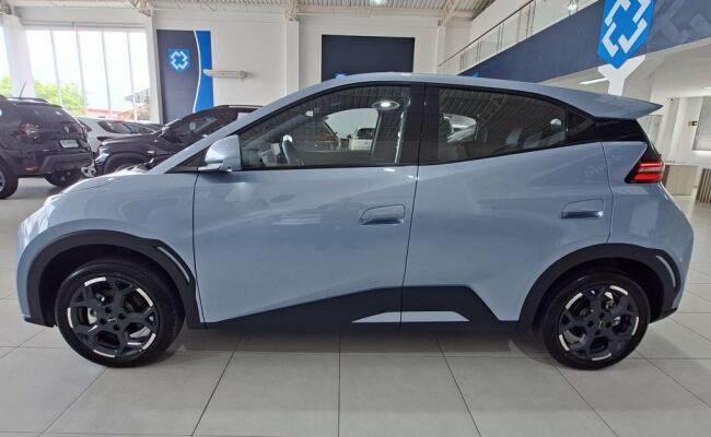 BYD Dolphin Mini