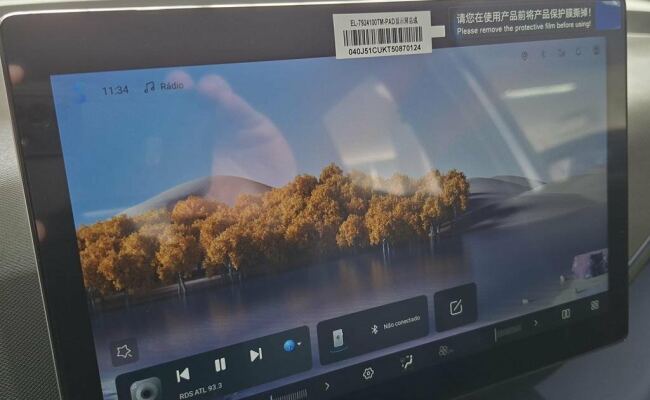 BYD Dolphin Mini