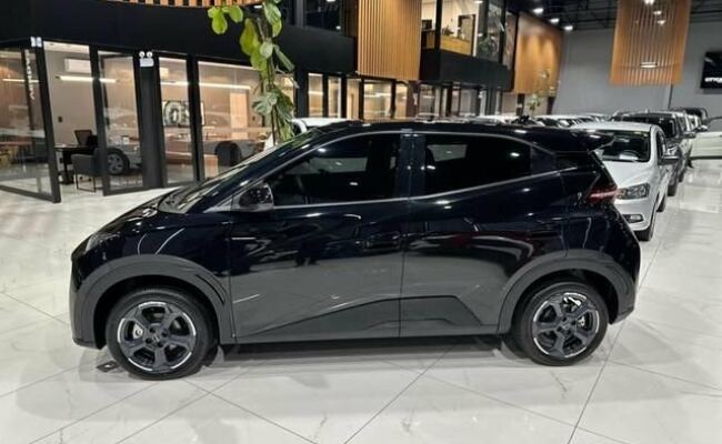 BYD Dolphin Mini