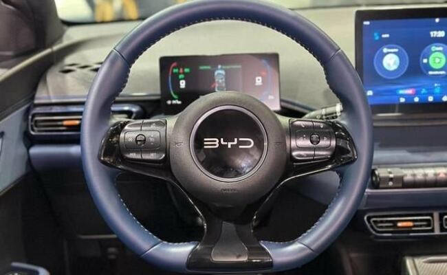 BYD Dolphin Mini