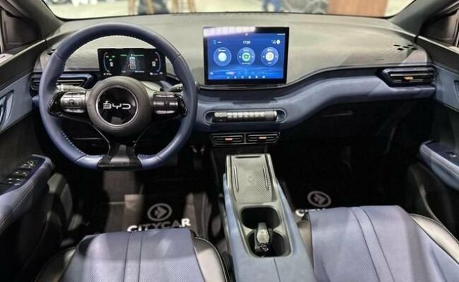 BYD Dolphin Mini