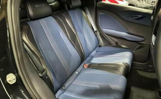 BYD Dolphin Mini