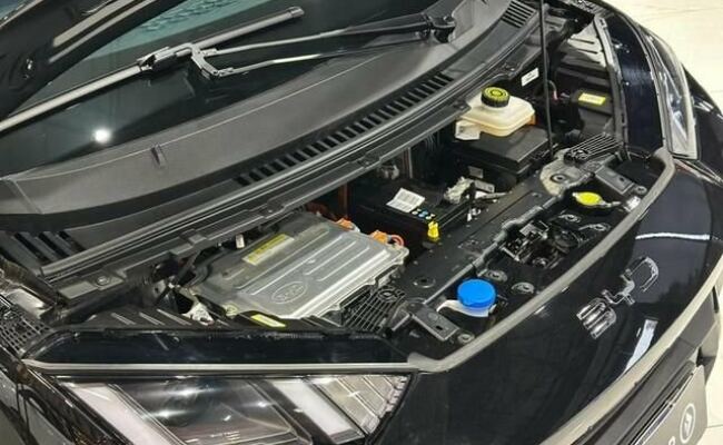BYD Dolphin Mini