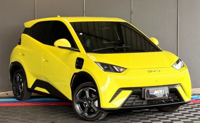 BYD Dolphin Mini (Elétrico)