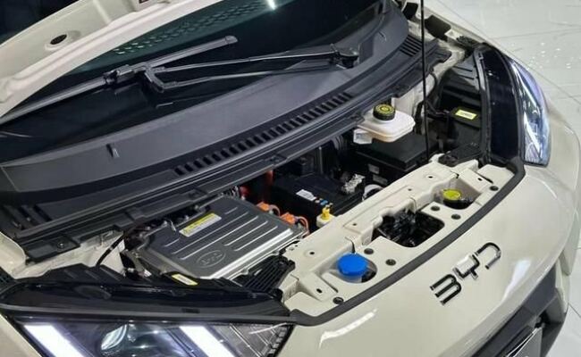 BYD Dolphin Mini