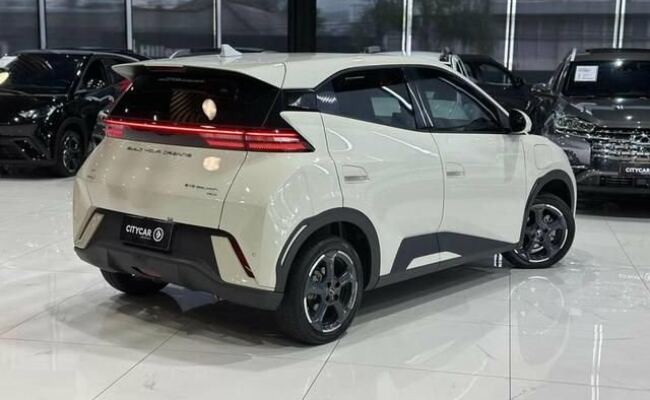 BYD Dolphin Mini