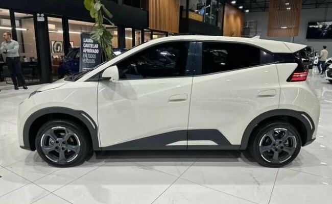 BYD Dolphin Mini