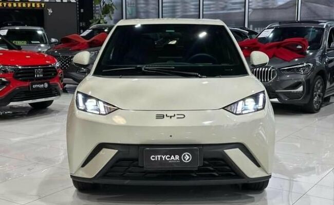 BYD Dolphin Mini