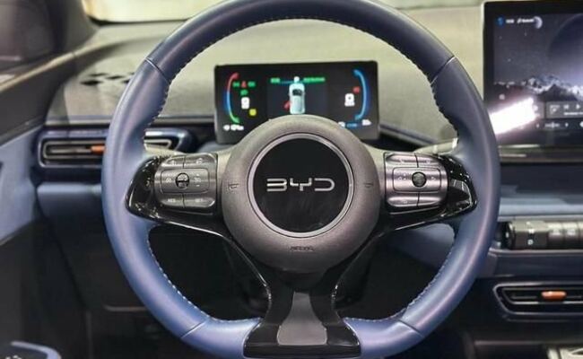 BYD Dolphin Mini