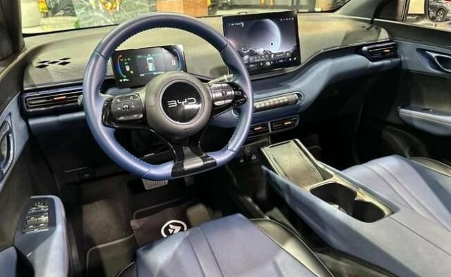 BYD Dolphin Mini