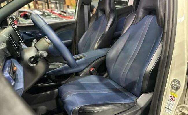 BYD Dolphin Mini