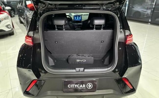 BYD Dolphin Mini