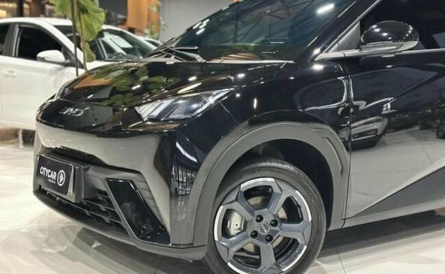 BYD Dolphin Mini