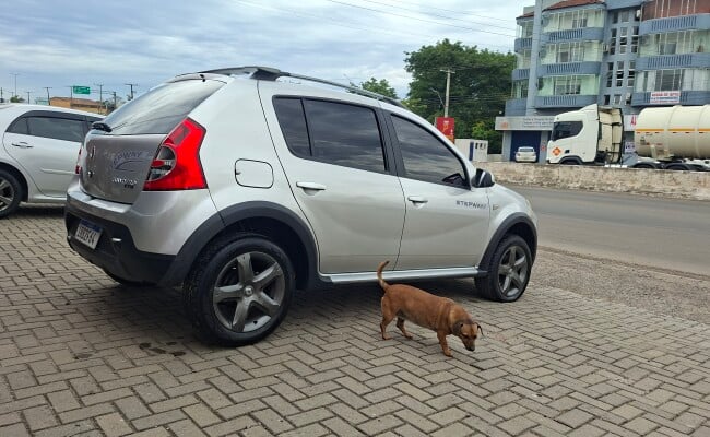 Renault SANDERO