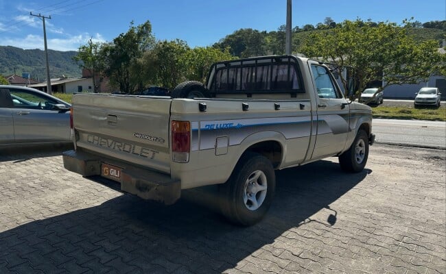 Chevrolet D-20